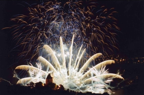 queue paon phoenix artifice queue paon phoenix artifice